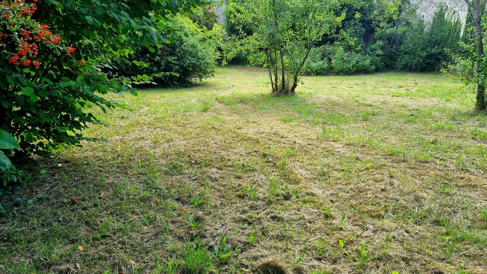 Image_5,
			Maison, Moret-Loing-et-Orvanne, ref :1784